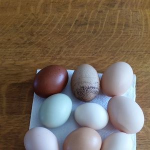 Meet your Posher, Tina